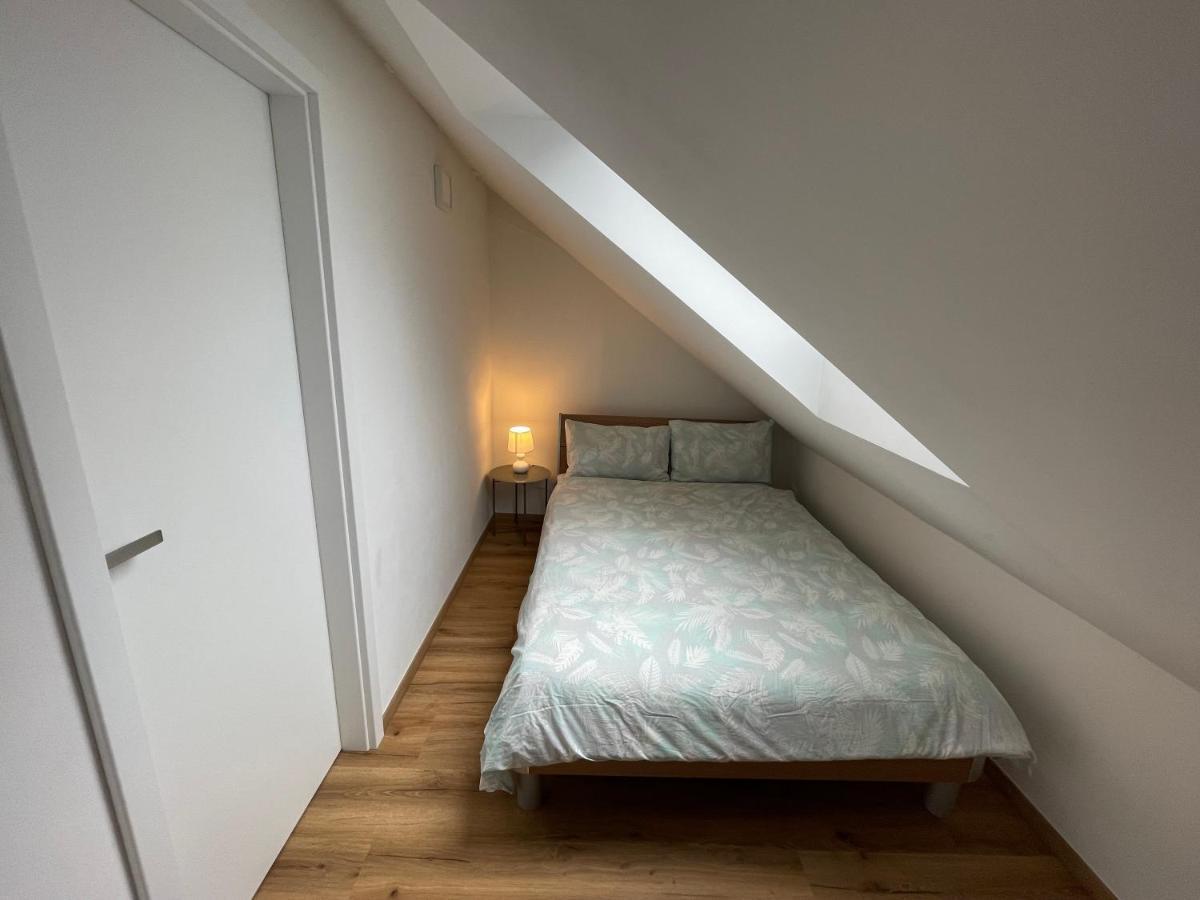 Apartment Svetla